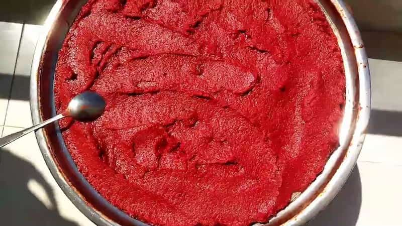 تصویر 4 از رب گوجه فرنگی اویلا با فرمولاسیون استاندارد و طعم مطلوب